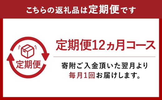 【12ヶ月定期便】『倉敷うどん ぶっかけ』お土産セット(半生) 6人前×12回 うどん 麺類 麺 半生 半生麺 ぶっかけうどん タレ つゆ 岡山県 倉敷市