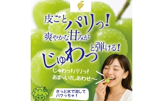 【 先行予約 】 訳あり 木熟ぶどう ハレノシャイン シャインマスカット 2房 約1.2kg
