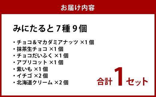 ねこみにタルト9個入り