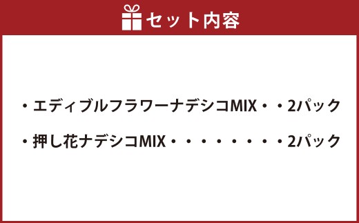 エディブルフラワーナデシコMIX（20輪入り）2種4パックセット【食べられるお花 栽培期間中 農薬不使用】