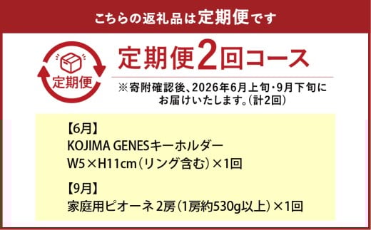 KOJIMA GENESキーホルダー＋家庭用ピオーネ 2房（1房約530g以上）