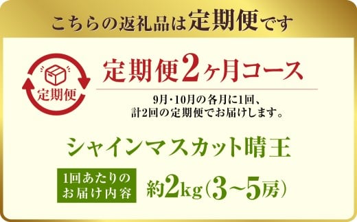 【定期便 全2回／2026年9・10月発送】 岡山県産シャインマスカット 晴王 約2kg（3～5房）｜2回定期便 9月10月に1回づつ発送 種無し 皮ごと食べる 旬の美味しさ フレッシュ 先行予約 ハレノフルーツ