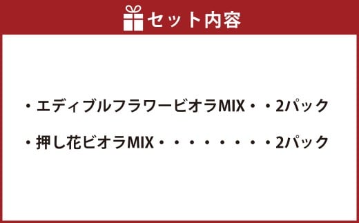 エディブルフラワービオラMIX（20輪入り）2種4パックセット【食べられるお花 栽培期間中 農薬不使用】