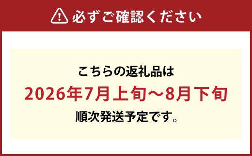 【ハウス栽培】ニューピオーネ 1房 （680g以上）【2026年7月上旬～8月下旬 発送予定】【葡萄 ぶどう ニューピオーネ 果物 フルーツ 国産 人気 おすすめ 岡山県 倉敷市】