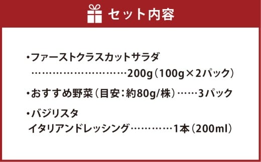 【Ortolano】ファーストクラスのサラダ＆ドレッシングセット A