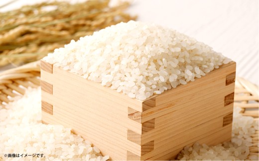 岡山県産あきたこまち 10kg（5kg×2袋）