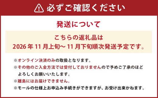 岡山県産紫苑 2房 約1.2kg【2026年11月上旬～11月下旬まで発送予定】【葡萄 ぶどう ブドウ フルーツ 果物 岡山県 倉敷市 おすすめ 人気】