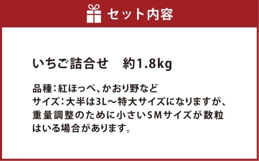 いちご詰合せ 普通箱 約1.8kg 倉敷産 イチゴ いちご 苺 フルーツ 果物 詰め合わせ セット【2025年12月上旬～2026年3月下旬迄順次発送予定】
