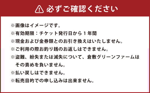 【苔玉づくり】ペア体験チケット（２個ずつ制作）【体験券 体験チケット ペアチケット 苔玉作り 倉敷グリーンファーム 植物 岡山県 倉敷市 おすすめ 人気】
