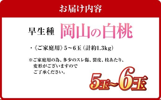 《ご家庭用》 岡山の白桃 （早生種） 5～6玉 （合計約1.3kg） 桃 もも モモ 白桃 くだもの 果物 国産フルーツ 国産 岡山県 倉敷市 【2026年6月下旬～7月下旬迄順次発送予定】