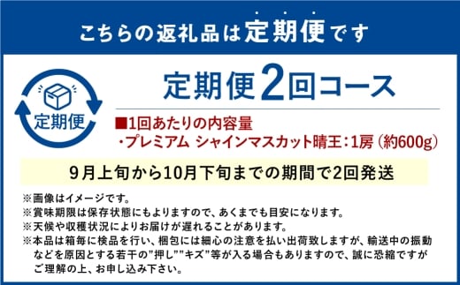【2回定期便】 プレミアム シャインマスカット 晴王 1房 約600g 2回 定期便 9月・10月に1回ずつお届け 種無し 皮ごと食べる フレッシュ 旬の美味しさ【2026年9月上旬発送開始】【シャインマスカット マスカット ぶどう 葡萄 岡山県産 種無し 皮ごと食べる みずみずしい 9月～10月お届け フレッシュ 晴れの国おかやま 果物大国 贈答品 彩美菜果 岡山県 倉敷市】
