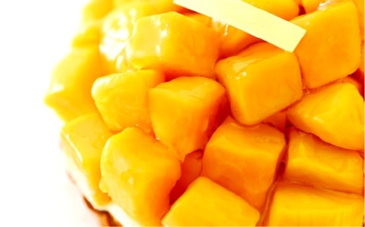 究極のデザート マンゴータルト 5号