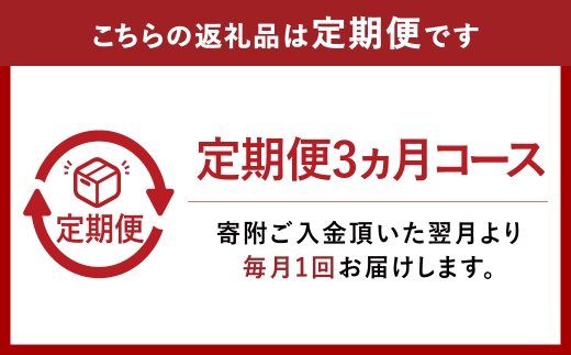 【3ヶ月定期便】『倉敷うどん ぶっかけ』お土産セット(半生) 6人前×3回 うどん 麺類 麺 半生 半生麺 ぶっかけうどん タレ つゆ 岡山県 倉敷市