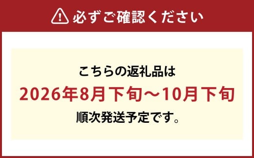 果物詰合せ 合計約1.0kg（シャインマスカット 1房・ニュー ピオーネ 1房）岡山 ぶどう シャインマスカット ニューピオーネ 詰め合わせ 皮ごと 食べられる 種なし【2026年8月下旬～10月下旬発送予定】