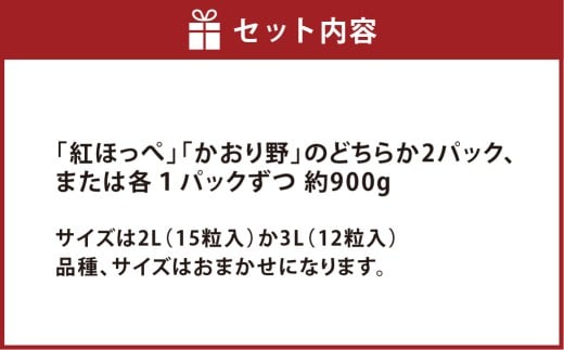 特選いちご 化粧箱入り 2パック 約900g 倉敷産 イチゴ いちご 苺 フルーツ 果物 詰め合わせ セット【2025年12月上旬～2026年3月下旬迄順次発送予定】