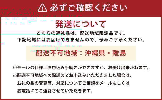 船底シートLLタイプ【船 船底シート シート 海 岡山県 倉敷市 おすすめ 人気】