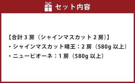 葡萄詰合せ（シャインマスカット 晴王 2房（1房 580g以上）・ニューピオーネ 1房（580g以上） 露地栽培【2026年9月上旬～10月下旬まで順次発送予定】マスカット フルーツ ぶどう 葡萄 ブドウ ピオーネ