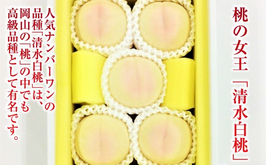 清水白桃 8玉（合計約2.0kg）果物 デザート スイーツ フルーツ 果肉 美味しい 甘い 柔らかい 上品 高級品種 贈り物 ギフト【2026年7月下旬～8月上旬迄順次発送予定】