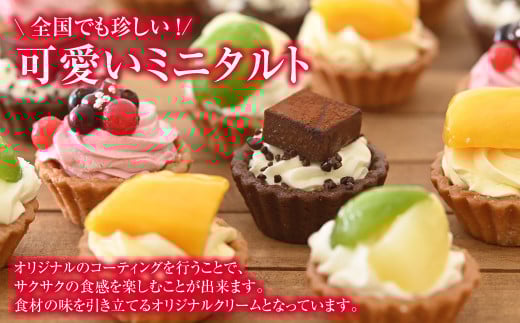 みにたると 15個セット【ケーキ タルト フルーツ スイーツ フルーツタルト 人気スイーツ 人気タルト 岡山県 倉敷市 おすすめ 人気】