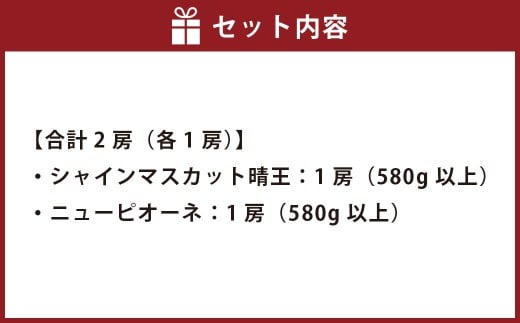 葡萄詰合せ（シャインマスカット晴王 1房（580g以上）・ニューピオーネ 1房（580g以上）露地栽培【2026年9月上旬～10月下旬まで順次発送予定】葡萄 ぶどう ブドウ ニューピオーネ ピオーネ マスカット フルーツ