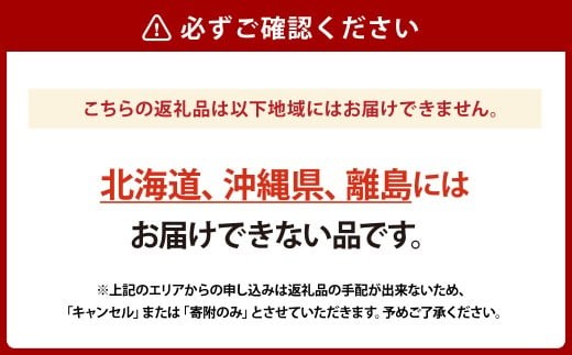 《ご家庭用》ニュー ピオーネ 3～5房（約2.0kg）　ブドウ 葡萄 岡山県産 国産 フルーツ 果物 岡山県 倉敷市 　【2026年8月下旬～10月下旬発送予定】