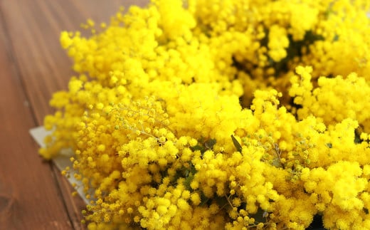 フレッシュ ミモザのリース【ハンドメイド ミモザリース リース ドライフラワー ミモザ お花 花 岡山県 倉敷市 おすすめ 人気】【2026年2月下旬-3月下旬 発送予定】