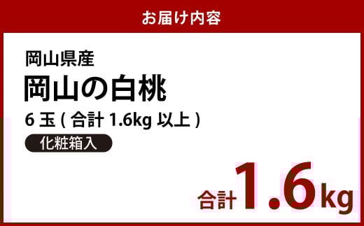 【先行予約】岡山県産　白桃6玉（1.6kg以上）化粧箱入り【2026年7月上旬～8月上旬まで順次発送予定】【もも 桃 白桃 果物 フルーツ 国産 人気 おすすめ 岡山県 倉敷市】