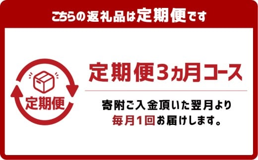 【3ヶ月定期便】ぶっかけうどん 凍らし麺 5人前×3回 うどん 麺類 麺 冷凍 ぶっかけうどん タレ つゆ 岡山県 倉敷市