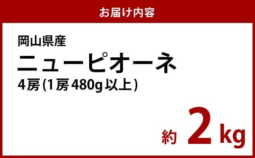【先行予約】岡山県産 ニューピオーネ 4房（1房480g以上）約2kg【2026年8月下旬～10月上旬まで順次発送予定】【ぶどう ニューピオーネ フルーツ 国産 人気 おすすめ 岡山県 倉敷市】