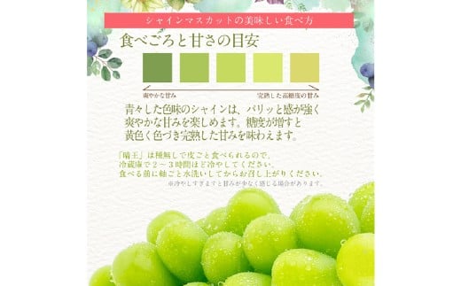 晴王 シャインマスカット晴王 1房 約700g