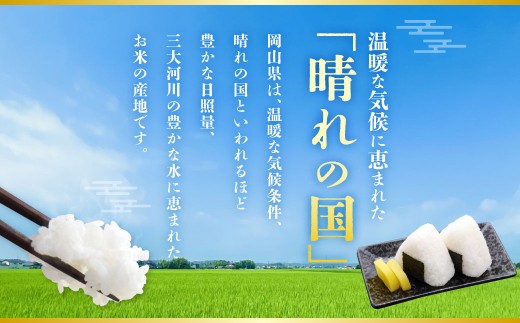 あきたこまち 10kg