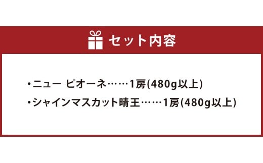 【先行予約】岡山県産 詰合せ ニューピオーネ 1房とシャインマスカット『晴王』 1房 化粧箱入り【2026年8月下旬～10月上旬まで順次発送予定】【シャインマスカット 果物 フルーツ 国産 人気 おすすめ 岡山県 倉敷市】