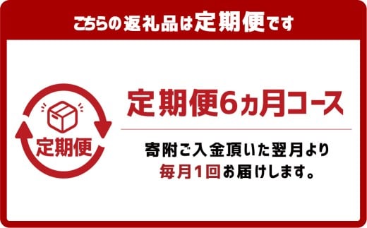 【6ヶ月定期便】ぶっかけうどん 凍らし麺 8人前×6回 うどん 麺類 麺 冷凍 ぶっかけうどん タレ つゆ 岡山県 倉敷市
