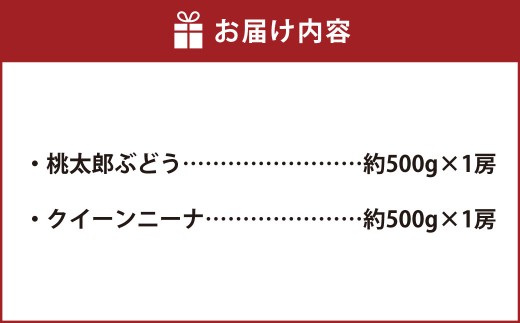 岡山県産桃太郎ぶどう1房・クイーンニーナ1房