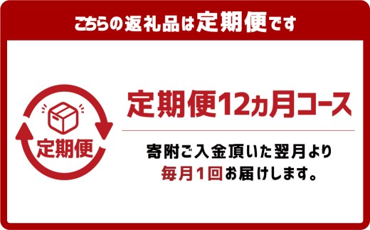 【12ヶ月定期便】『倉敷うどん ぶっかけ』ファミリーセット(半生) 24人前×12回 うどん 麺類 麺 半生 半生麺 ぶっかけうどん タレ つゆ 岡山県 倉敷市