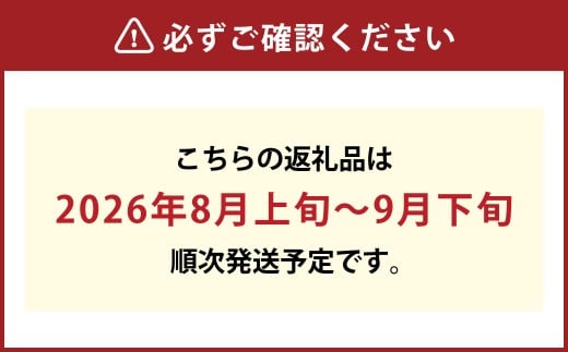 白桃 晩生種 5～6玉（約1.3kg）岡山 桃 晩生種 白麗 瀬戸内白桃 大玉 果実 固め 果肉【2026年8月上旬～9月下旬発送予定】