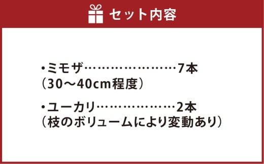春限定！ミモザとユーカリの花束/フレッシュ