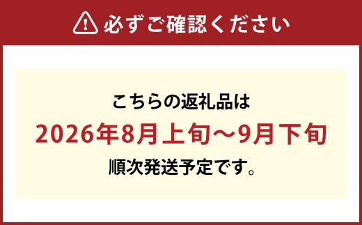 白桃 晩生種（大玉） 6～7玉（約2.2kg）岡山 桃 晩生種 白麗 瀬戸内白桃 果肉 固め 大玉【2026年8月上旬～9月下旬発送予定】
