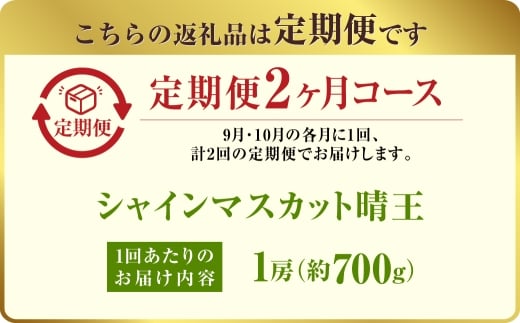 【定期便 全2回／2026年9・10月発送】 岡山県産シャインマスカット 晴王 1房 約700g｜2回定期便 9月・10月に1回づつお届け 種無し 皮ごと食べる 旬の美味しさ フレッシュ 先行予約 ハレノフルーツ