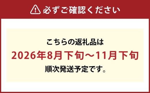 ご家庭用 シャインマスカット 晴王 約400g×1房【2026年8月下旬～11月下旬まで順次発送予定】 マスカット 葡萄 ぶどう ブドウ 果物 フルーツ 岡山県 倉敷市