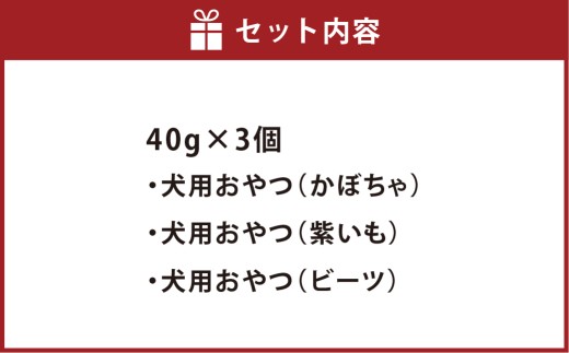 犬用カリカリおやつ【ぐんぐんデトックス】 40g×3個（計120g） ペットフード 犬 ペット ドッグフード カリカリ 犬用おやつ 健康 低カロリー 日用品 雑貨