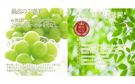 赤秀ぶどうプレミアム シャインマスカット 晴王 1房 約700g