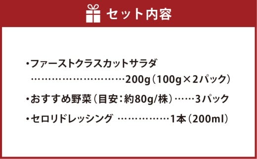 【Ortolano】ファーストクラスのサラダ＆セロリドレッシングセット S-1