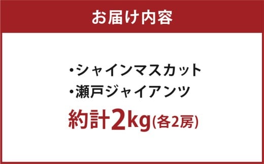 岡山県産ぶどう2種（シャインマスカット+瀬戸ジャイアンツ）家庭用 約2kg