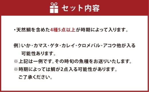 【倉敷市下津井産】おまかせ一夜干し5点セット