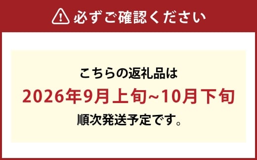 岡山県産 シャインマスカット 晴王 2房 約1.1kg【2026年9月上旬-10月下旬 発送予定】｜種無し 旬の美味しさ 皮ごと食べる フレッシュ 先行予約 ハレノフルーツ