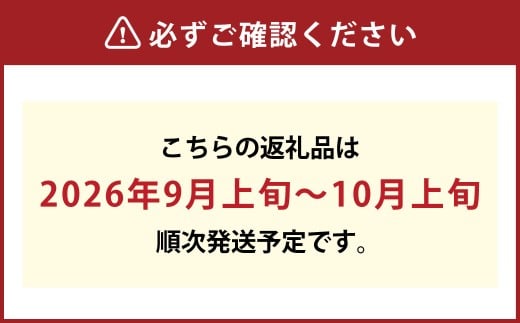ぼっけえ大粒ピオーネ1房 800g以上 化粧箱入り【2026年9月上旬～10月上旬まで順次発送予定】【ピオーネ ぶどう 人気フルーツ 岡山フルーツ おすすめフルーツ 岡山県 倉敷市】