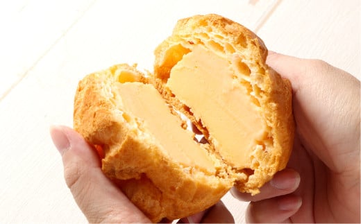 シューアイスセット 8個【シューアイス アイスクリーム アイス シュークリーム シューアイス セット セット返礼品 あっぱれたまご使用 岡山県 倉敷市】【2025年7月上旬-9月下旬 発送予定】