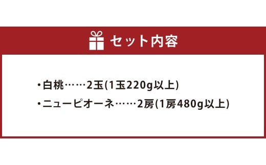 【先行予約】岡山県産 詰合せ/白桃2玉とニューピオーネ2房 化粧箱入り【2026年7月下旬～8月上旬まで順次発送予定】【もも 桃 白桃 ぶどう ニューピオーネ 果物 フルーツ 国産 人気 おすすめ 岡山県 倉敷市】