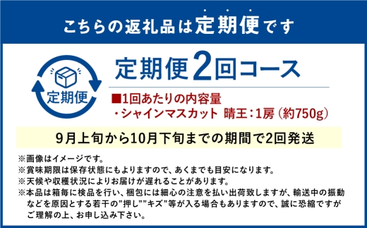 【2回定期便】シャインマスカット 晴王 １房 約750g ２回 定期便 9月・10月に1回ずつ発送 おすすめ 人気【2026年9月上旬発送開始】【岡山県産 種無し 皮ごと食べる みずみずしい 甘い フレッシュ 9月～10月発送 晴れの国 おかやま ぶどう 葡萄 マスカット 果物大国 彩美菜果 岡山県 倉敷市 おすすめ 人気】
